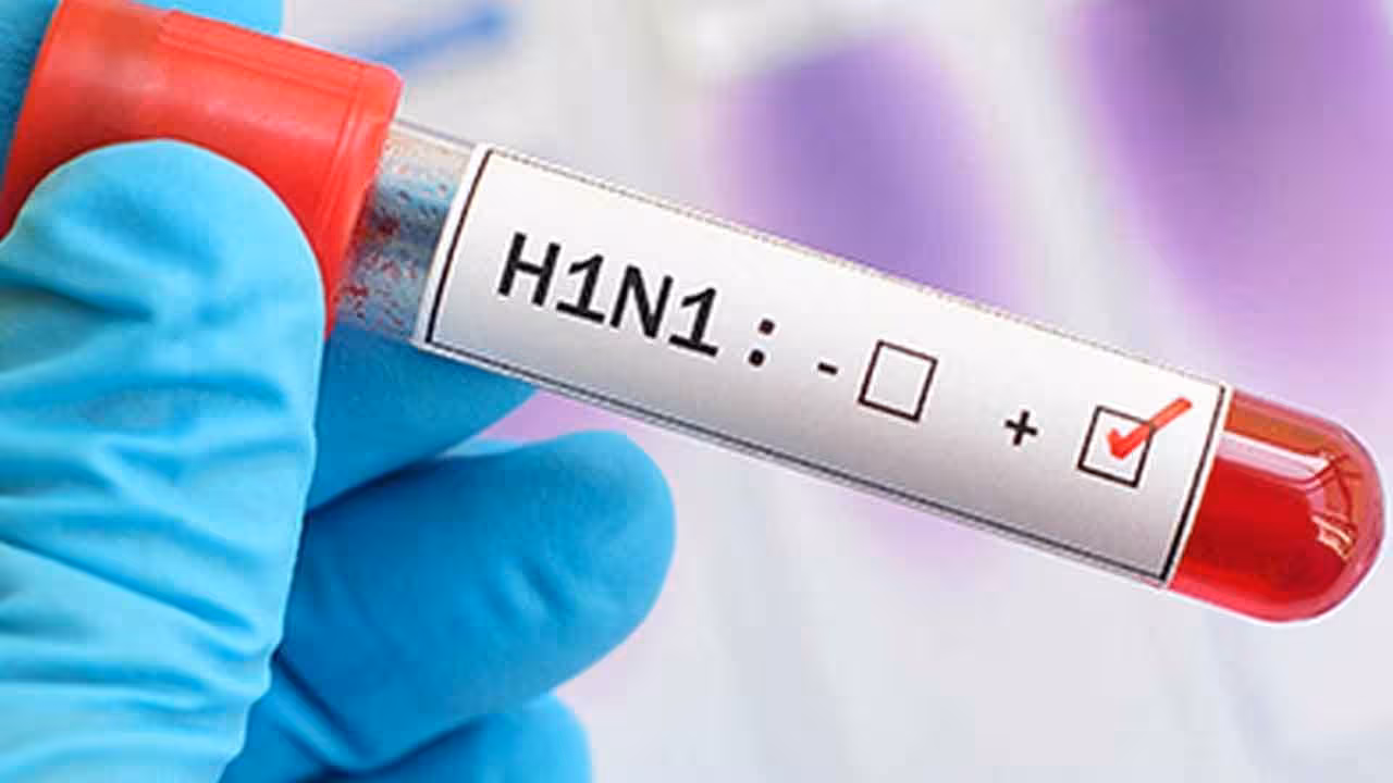 H1N1 | కొన్ని నగరాల్లో భారీగా హెచ్1ఎన్1 కేసులు, కొన్ని చోట్ల స్వల్పంగా.. ఎందుకీ తేడా..?