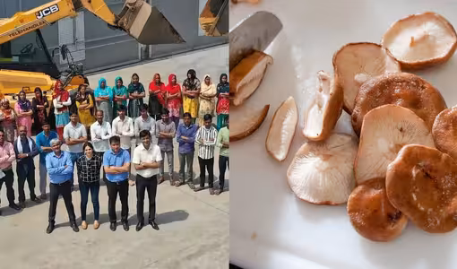 IIT IIM Graduates Mushroom Farming | అమెరికాలో లగ్జరీ జాబ్ వదిలేశారు.. పుట్టగొడుగుల సాగుతో కోట్లు ఆర్జిస్తున్న ఐఐటీ, ఐఐఎం టెకీలు