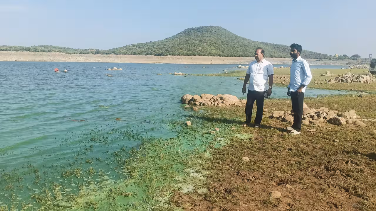 Chemical dumping Nagarjuna Sagar | నాగార్జున సాగర్ బ్యాక్ వాటర్స్లో డేంజర్ బెల్స్: కెమికల్స్ పారబోసిందెవరు?