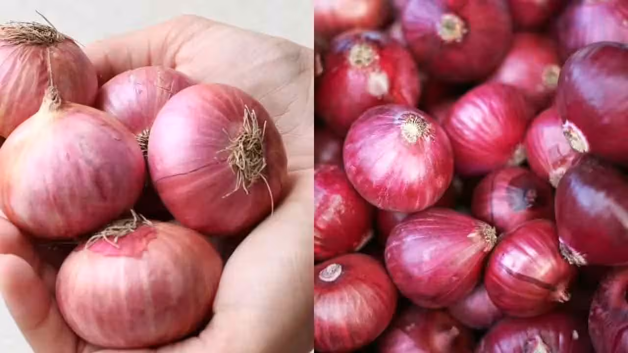 Onion Prices | ఘాటెక్కిన ఉల్లి.. తల్లడిల్లుతున్న గృహిణి