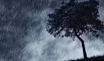 TG Weather | తెలంగాణలో రెండురోజులు భారీ వర్షాలు.. హెచ్చరించిన ఐఎండీ
