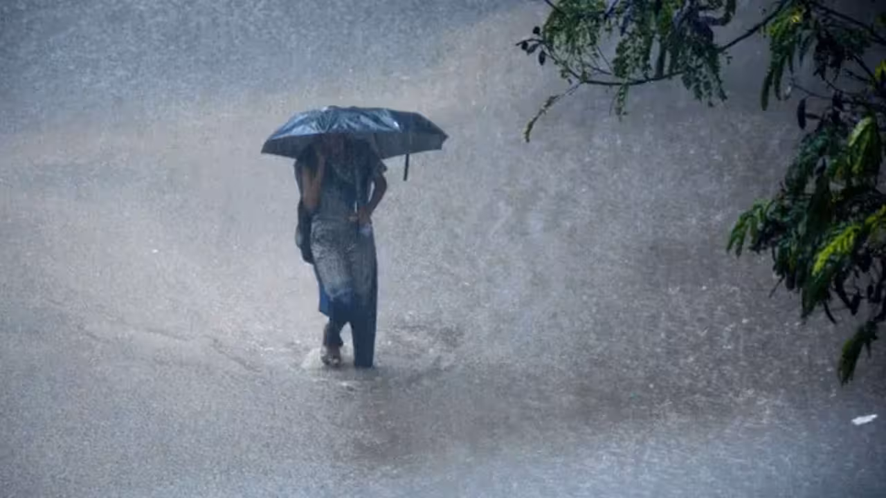 Heavy Rain | రానున్న 24 గంటల్లో ఈ జిల్లాల్లో భారీ నుంచి అతిభారీ వర్షాలు..