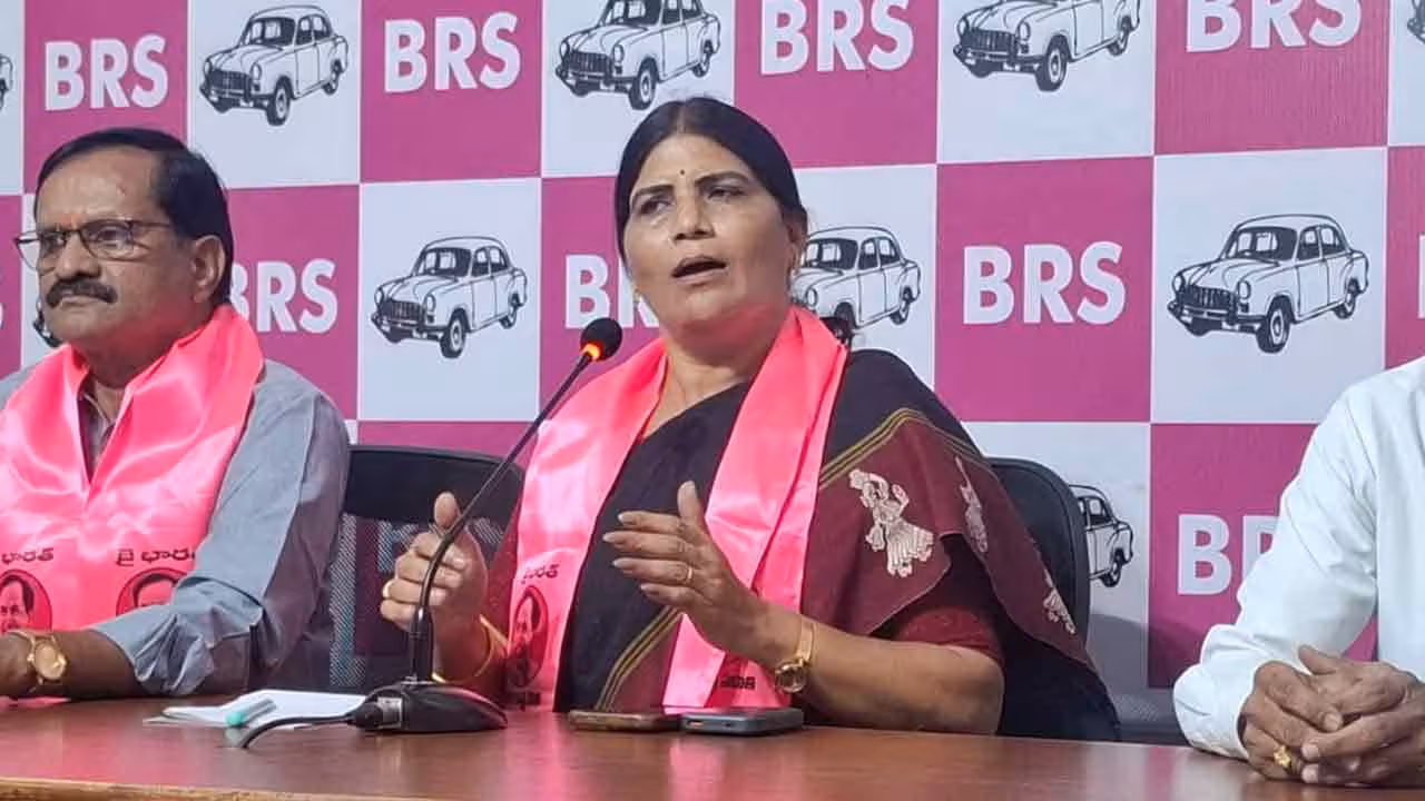 Sumitra Anand | ఎన్ని కథలు చెప్పినా రేవంత్ రెడ్డికి సున్నా మార్కులే
