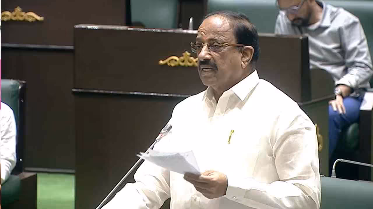 Tummala Nageshwar Rao | కూరగాయల సాగుకు రూ. 125 కోట్లకు పైగా రాయితీలు