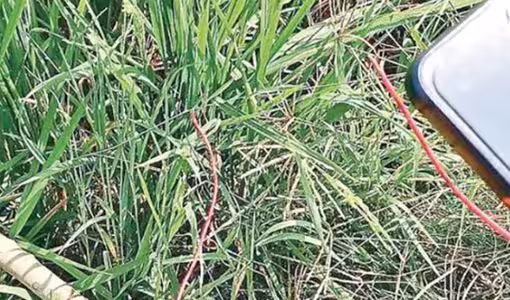 Electric Shock | అర్ధరాత్రి దావ‌త్‌.. పోలీసులను చూసి ప‌రిగెత్తి.. క‌రెంట్ షాక్‌తో ఇద్దరు ఇంజినీరింగ్‌ విద్యార్థుల మృతి