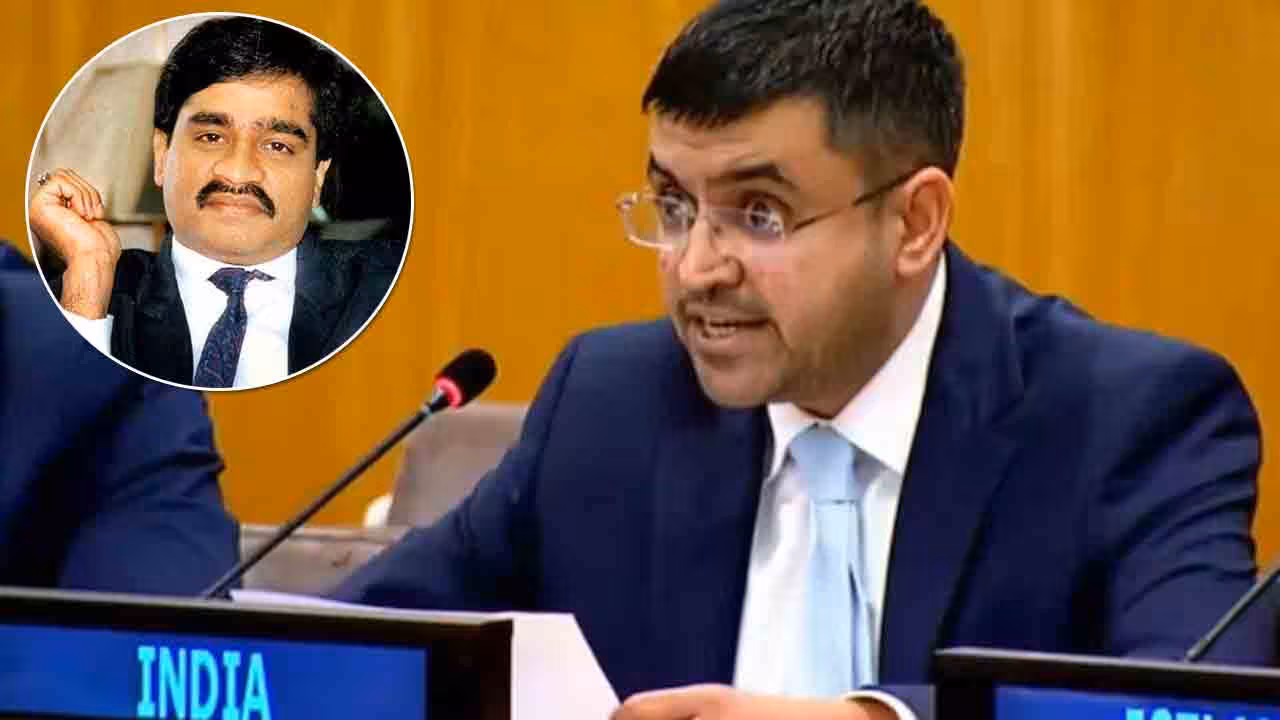 UN | దావూద్ పాకిస్థాన్లోనే ఉన్నాడు.. ఐరాసలో భారత్