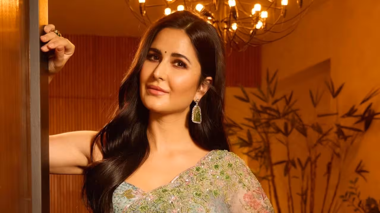 Katrina Kaif | అలా అయితే ముందుకు వెళ్లలేం.. విమర్శకులకు కత్రినా కైఫ్ కౌంటర్!