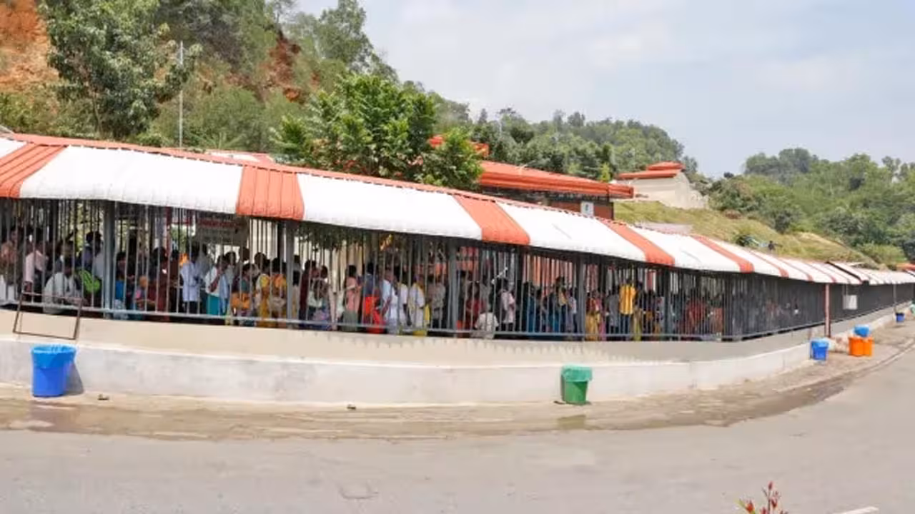Tirumala | పెటరాసి మాసం.. తిరుమలకు పోటెత్తిన భక్తజనం..