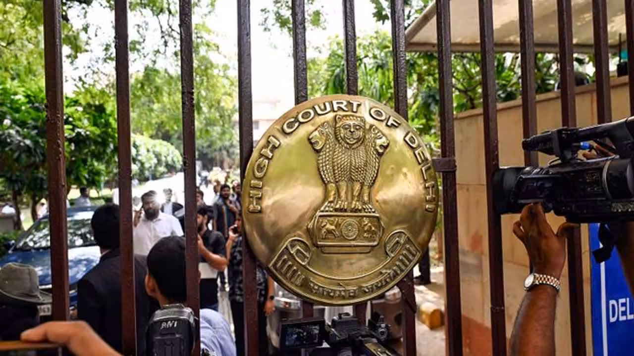 Delhi High Court | నిరసనల నియంత్రణకు ఎస్ఓపీలు.. ఢిల్లీ హైకోర్టులో పిటిషన్..