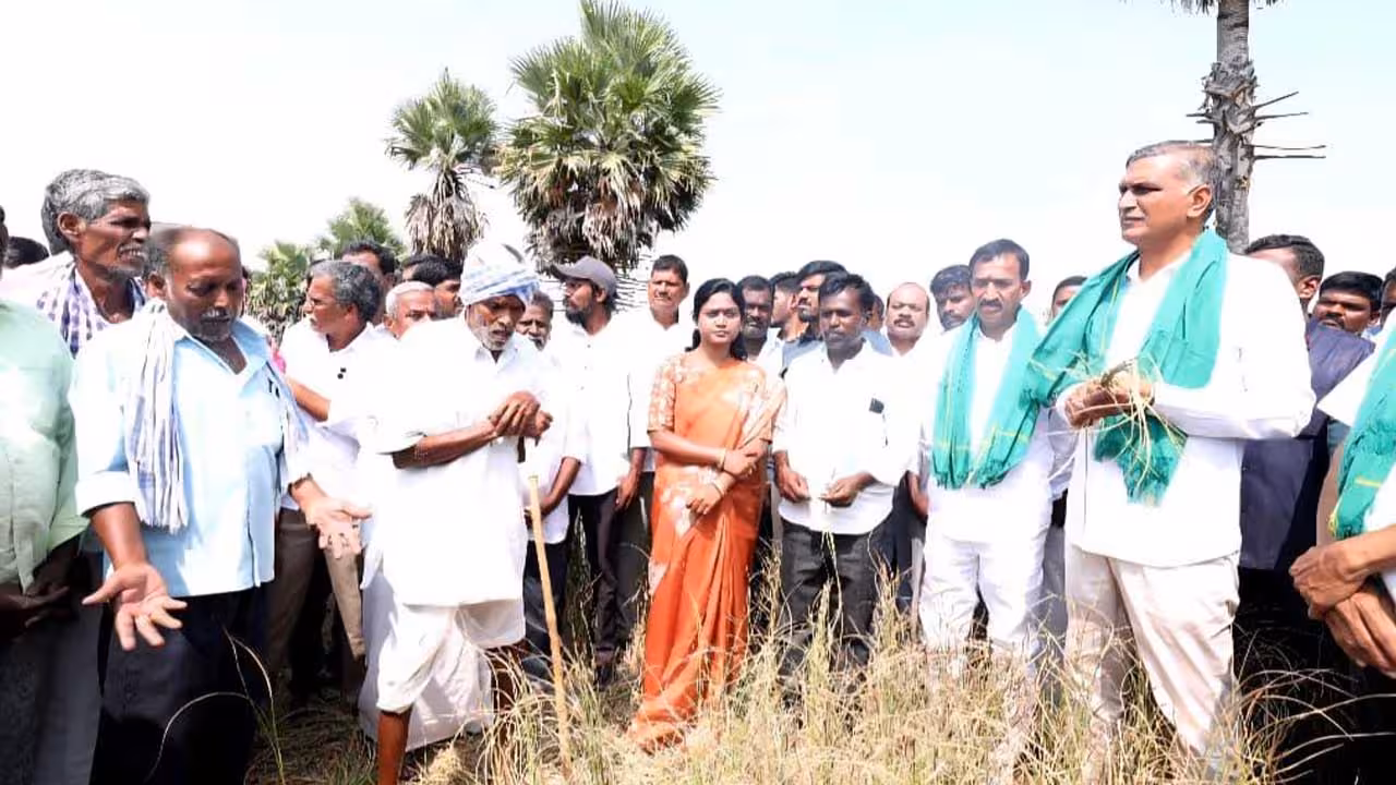 Harish Rao | అధికారులను కాదు.. సీఎంను సస్పెండ్ చేయాలి