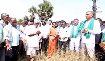 Harish Rao | అధికారులను కాదు.. సీఎంను సస్పెండ్ చేయాలి