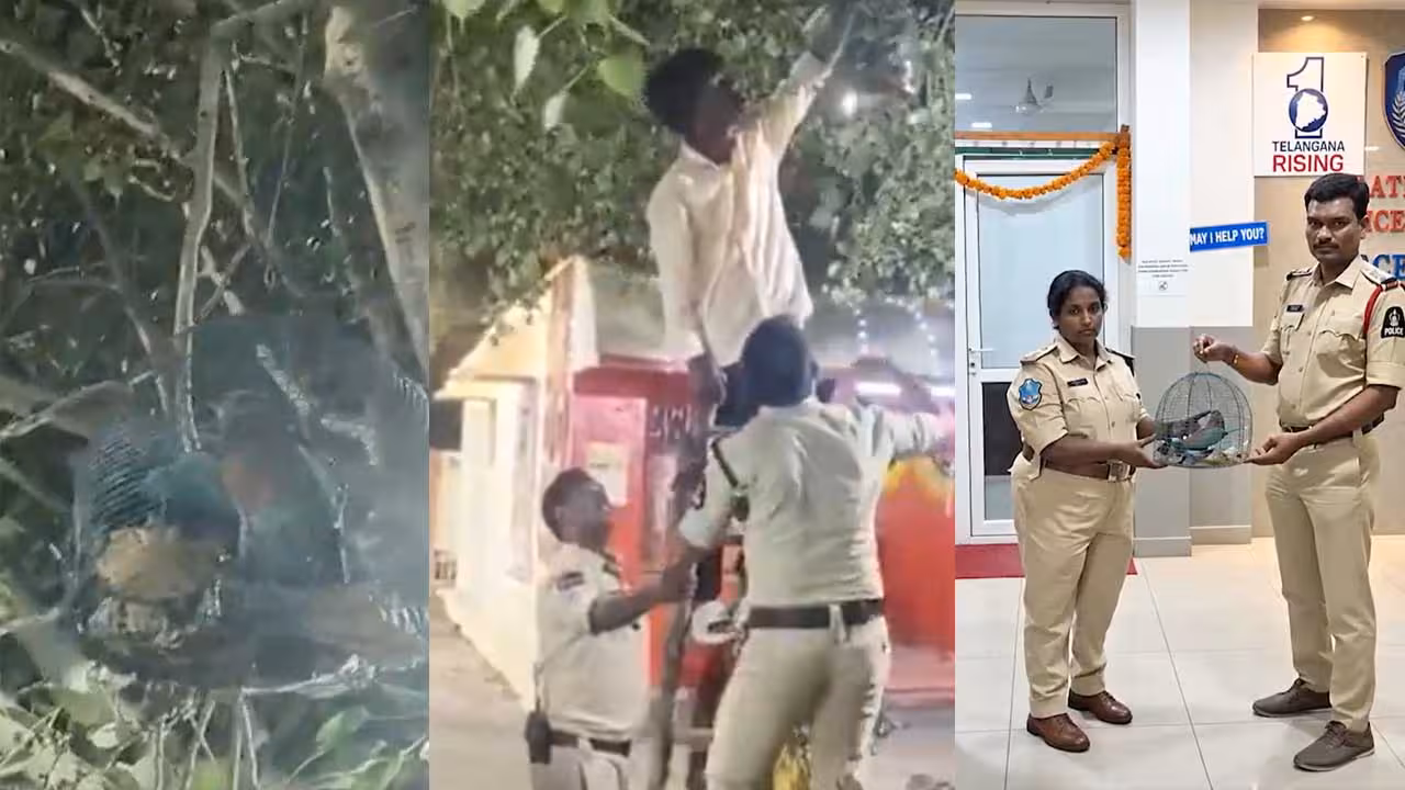 Hyderabad Police | నాలుగు పాలపిట్టలను కాపాడిన హైదరాబాద్ పోలీసులు