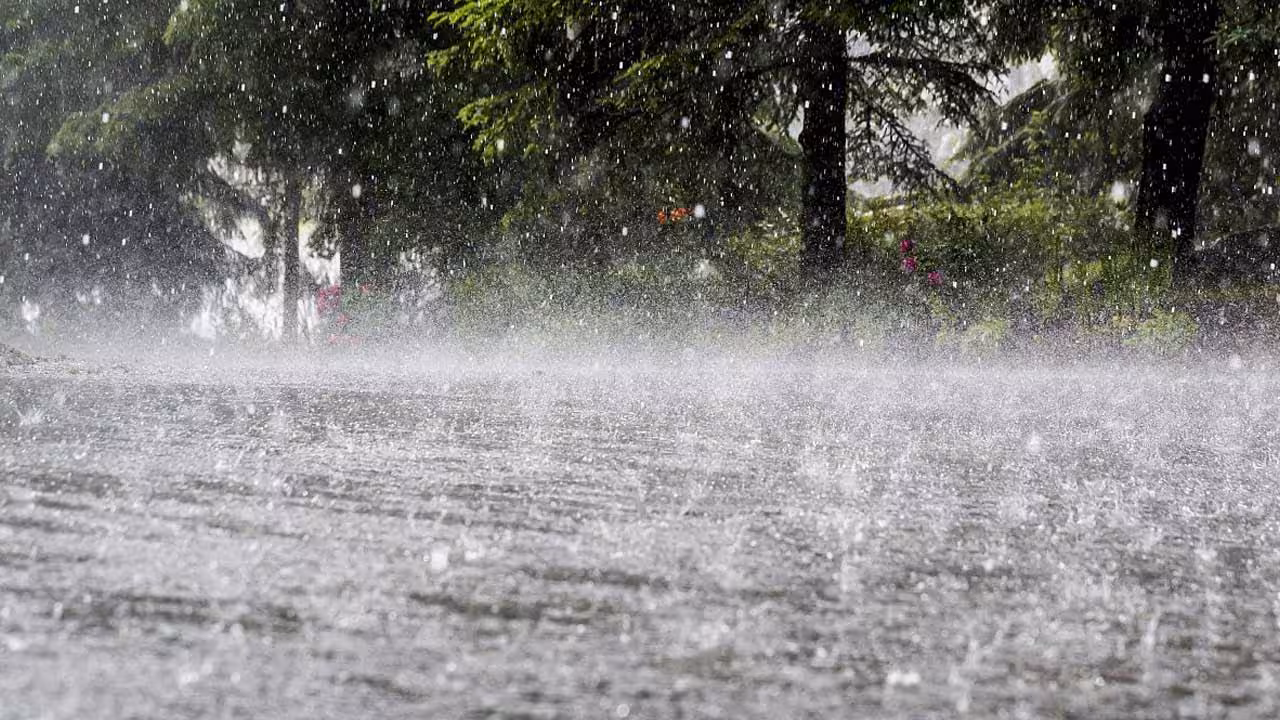 Cyclone Arnab | అర్నాబ్ ఎఫెక్ట్.. రేపట్నుంచి తెలంగాణలో భారీ నుంచి అతి భారీ వర్షాలు..!
