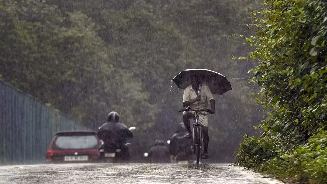 Rain Alert | రానున్న మూడు రోజులు వర్షాలు.. ఎల్లో అలర్ట్ జారీ