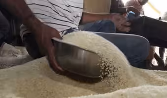 Ration Rice | తెలంగాణ‌లో 42 వేల క్వింటాళ్ల రేష‌న్ బియ్యం మాయం