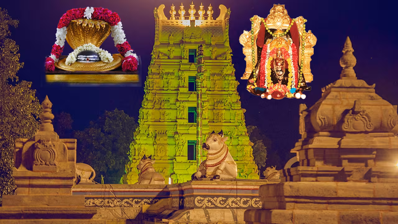 Dasara Special | శ్రీశైలానికి దసరా శోభ.. రేపటి నుంచి నవదుర్గలుగా భ్రమరాంబిక దర్శనం!