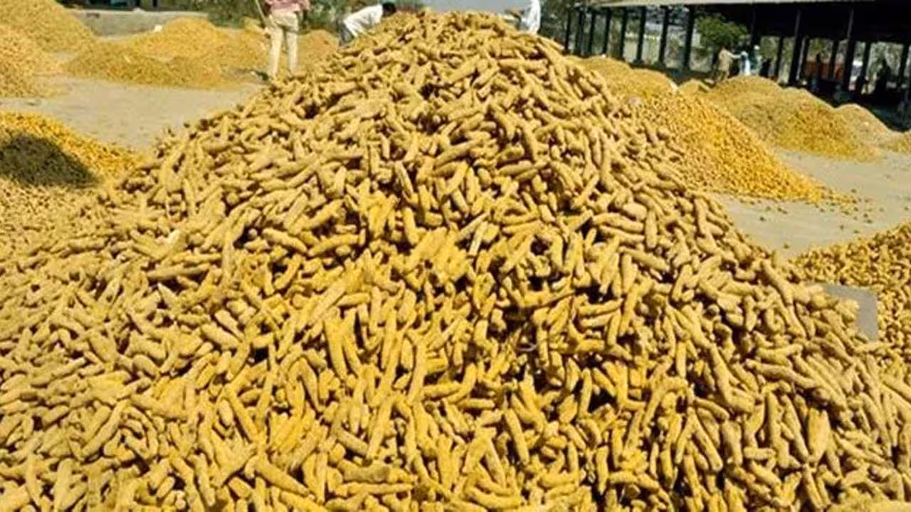 Turmeric | కేసముద్రం మార్కెట్లో పసుపునకు రికార్డు స్థాయి ధర
