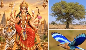 Harish Rao | అధ‌ర్మంపై ధ‌ర్మం సాధించిన విజ‌యానికి ప్ర‌తీక విజ‌య‌ద‌శ‌మి