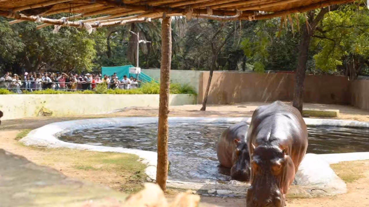 Hyderabad Zoo | దసరా రోజు హైదరాబాద్ జూపార్కుకు పోటెత్తిన సందర్శకులు..